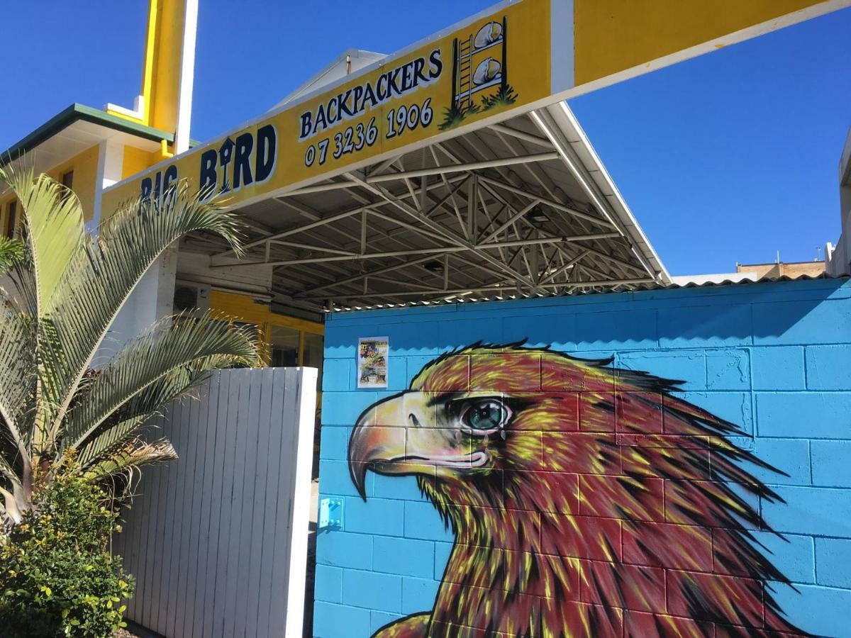 Big Bird Backpackers Hostel Brisbane Ngoại thất bức ảnh